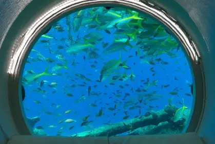 ocean-lens-5.jpeg